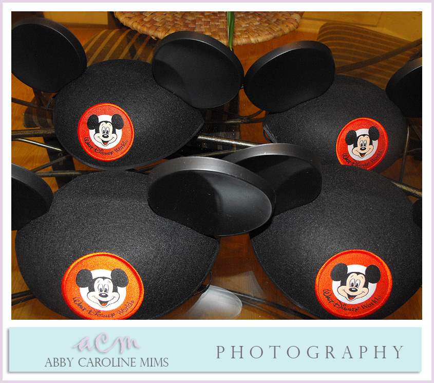 mouse-ears-183