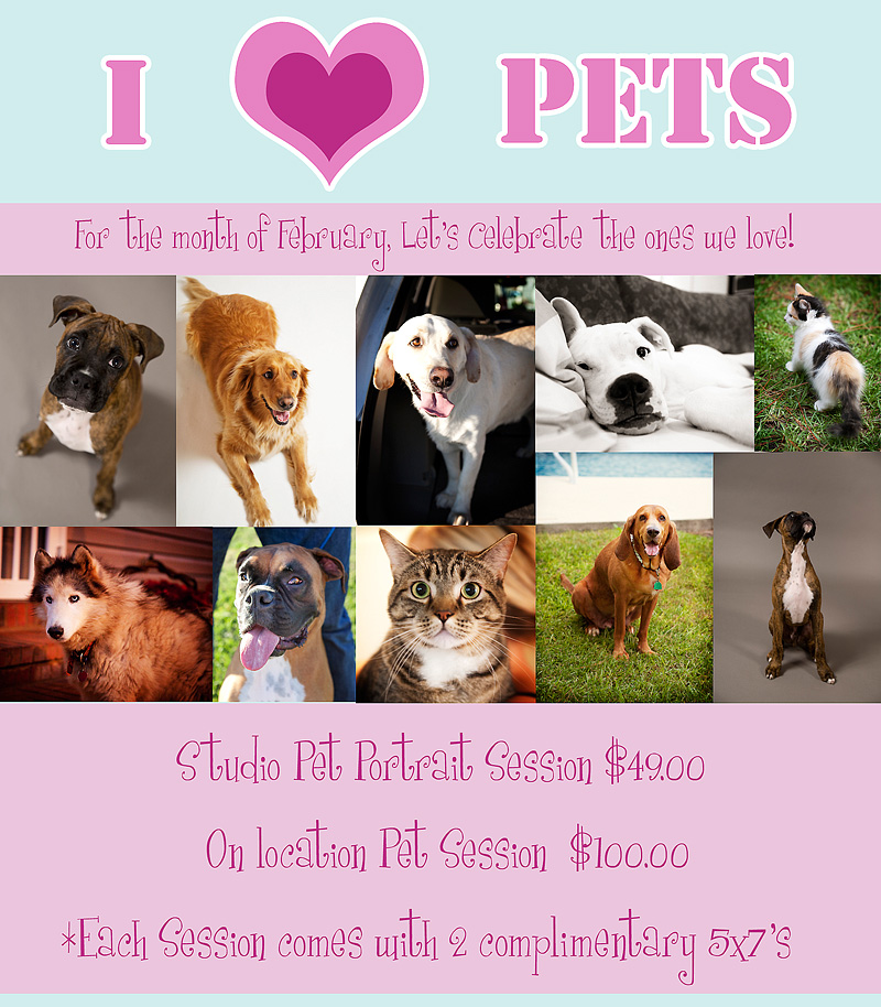 iheartpets1